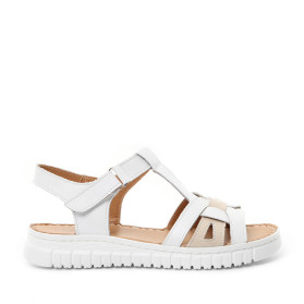 LORENZO SUPER COMFORT